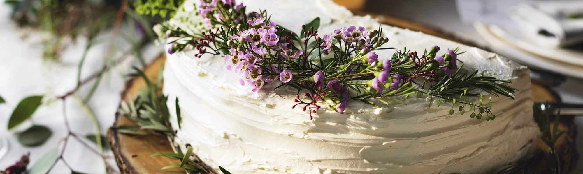 torte ordinazione